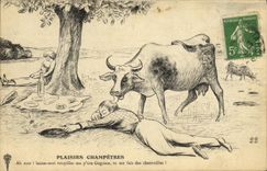 CPA Folklore Plaisirs champetres Vache 