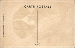 VINTAGE POSTCARD Dog Spaniel