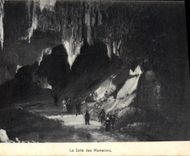 VINTAGE POSTCARD the Room of the Nipples