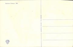 VINTAGE POSTCARD Woman Angel Letter