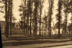 POSTAL Brujas de la VENDIMIA el beguinage