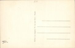 VINTAGE POSTCARD Fantaisie Required does not have law