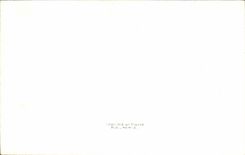 CPA Fantaisie Fleurs