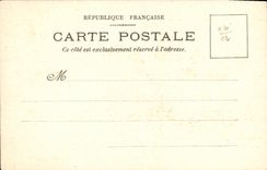 CPA Fantaisie Fleurs Chrysantheme