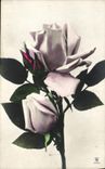 CPA Fantaisie Fleurs Roses