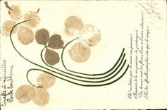 CPA Fantaisie Fleurs sechees