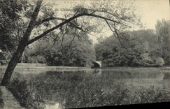 CPA Parc du chateau de Villeneuve l'etang 
