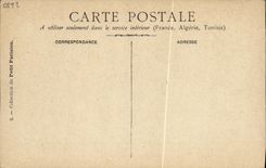 VINTAGE POSTCARD July 14th, 1880 Distribution of the flags