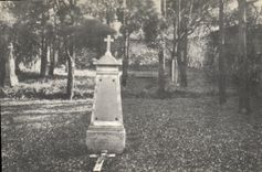 VINTAGE POSTCARD Common grave victims of the Revolution of 1793