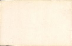 CPA Fantaisie Femme Robinne 