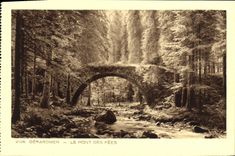 CPA Gerardmer Le Pont Des Fees