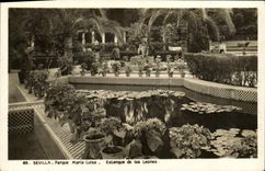 CPA Sevilla Parque Maria Luisa Estanque de Los leones Lion