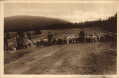 CPA Partie na Radhosti Berger Moutons