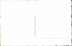 Militares peores de la fuerza de policía de Bruselas Manneken de la POSTAL de la VENDIMIA