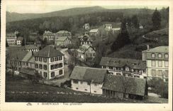 VINTAGE POSTCARD Hohwald View