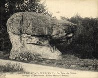 VINTAGE POSTCARD Drill De Fontainebleau the head of dog Falls of Apremont Road Marie Therese