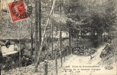 VINTAGE POSTCARD Drill of Fontainebleau Path of the cave of augas