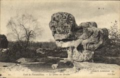 CPA Foret de Fontainebleau Le spbinx des druides