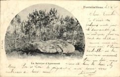 VINTAGE POSTCARD Fontainebleau the Whale of Apremont