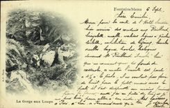 CPA Fontainebleau La Gorges Aux Loups