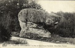 CPA Foret De Fontainebleau La tete de chien Gorges d'Apremont Route Marie Therese