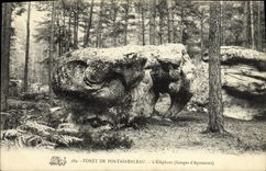 CPA Foret De Fontainebleau L'Elephant Gorges d'Apremont 