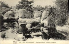 CPA Foret De Fontainebleau La Mare aux Biches Gorges d'Apremont