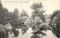 CPA Foret De Fontainebleau Mare aux Biches
