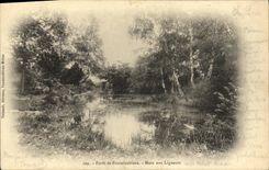 VINTAGE POSTCARD Drill De Fontainebleau Pond With the Members of a league