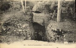 VINTAGE POSTCARD Drill De Fontainebleau Dorly Fountain