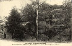CPA Foret De Fontainebleau rocher et medaillon de nemorosa reine des bois medaillon Foucher de Careil