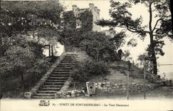 VINTAGE POSTCARD Drill De Fontainebleau the Tower denecourt
