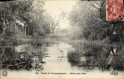 CPA Foret De Fontainebleau Mare aux fees