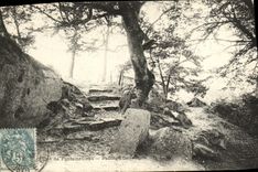 VINTAGE POSTCARD Drill De Fontainebleau Passage denecourt