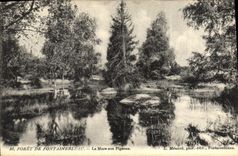 VINTAGE POSTCARD Drill De Fontainebleau the Pond With the Pigeons