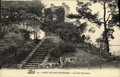 CPA Foret De Fontainebleau La Tour Denecourt