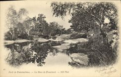 CPA Foret De Fontainebleau La Mare De Franchard