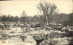 CPA Foret De Fontainebleau Les mares du plateau de belle croix Cuvier Chatillon