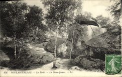 CPA Fontainebleau La foret la dame jeanne