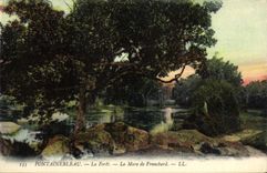 CPA Fontainebleau La foret la mare de franchard