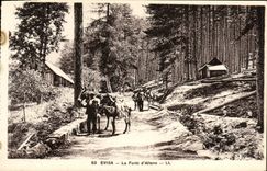 VINTAGE POSTCARD Evisa the drill of altone