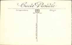 CPA Chamonix Vue Generale et Le Mont Blanc 