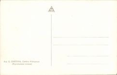 POSTAL Lago Dobbiaco de la VENDIMIA