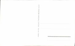 Parte posterior Tofane de la cortina de la POSTAL de la VENDIMIA