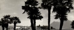 La POSTAL Lago Maggiore de la VENDIMIA la aisló Bella Vista DA Baveno
