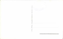 POSTAL Lago di Misurina Sorapis de la VENDIMIA