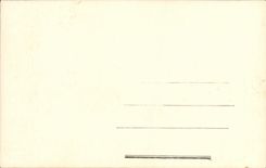 VINTAGE POSTCARD Venezia Basilico S Marco