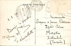 VINTAGE POSTCARD Our Campaigns Lunch in family Pig Sow Pig