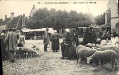 VINTAGE POSTCARD Scenes of Berry a fair in Berry Sheep