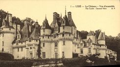 VINTAGE POSTCARD Custom the Castle Overall picture